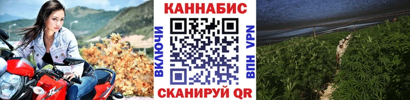 Продажа наркотиков Хадыженск Бошки Шишки Меф мяу мяу МДМА ГАШИШ АМФ Псилоцибиновые грибы